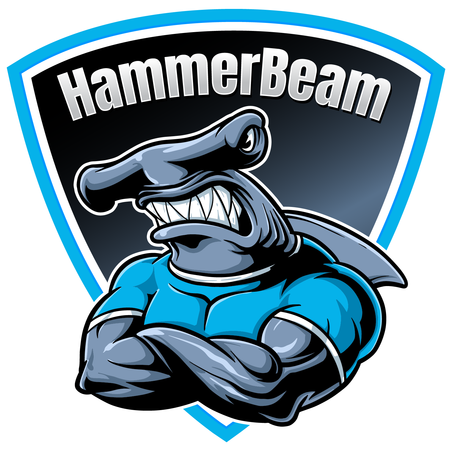 HammerBeam Logo - Bridge and Culvert Barriers
